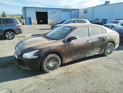 Nissan Maxima salvage cars for sale: 2010 Nissan Maxima S