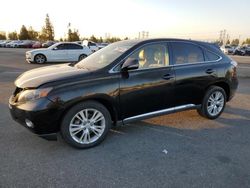 Lexus rx450 salvage cars for sale: 2010 Lexus RX 450H