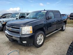 Chevrolet Silverado c1500 lt salvage cars for sale: 2010 Chevrolet Silverado C1500 LT