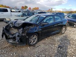 Hyundai Sonata salvage cars for sale: 2015 Hyundai Sonata SE