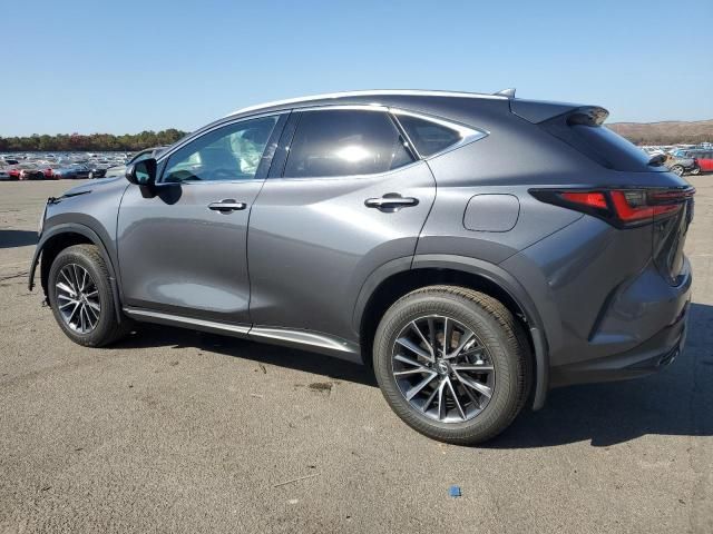 2024 Lexus NX 250 Base