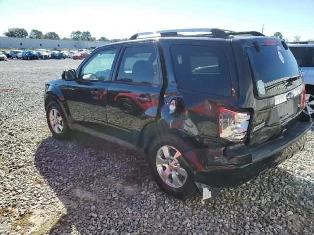 2011 Ford Escape Limited