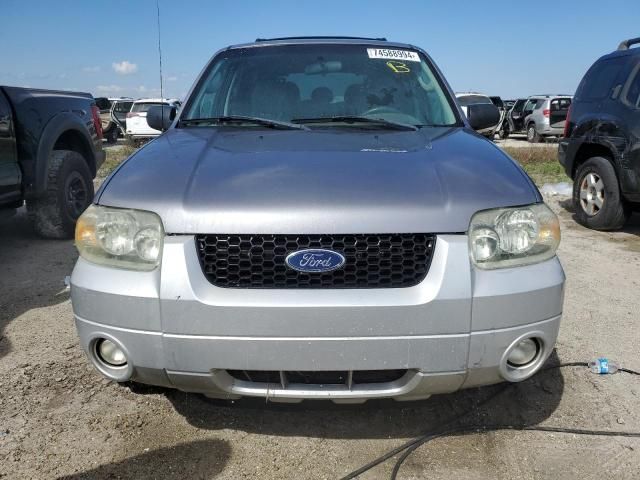 2007 Ford Escape XLT