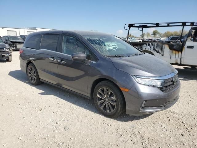 2023 Honda Odyssey EXL