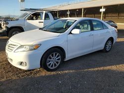 Salvage cars for sale from Copart Phoenix, AZ: 2011 Toyota Camry SE