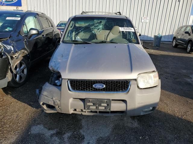 2001 Ford Escape XLT