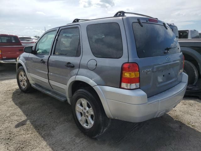 2007 Ford Escape XLT