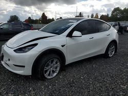 Tesla Vehiculos salvage en venta: 2024 Tesla Model Y