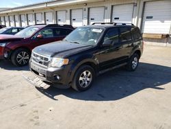 Ford salvage cars for sale: 2011 Ford Escape Limited