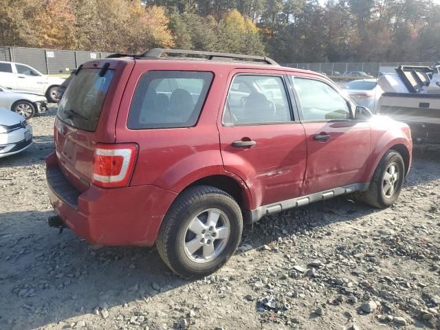 2010 Ford Escape XLS