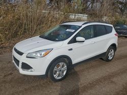 Salvage cars for sale from Copart Davison, MI: 2016 Ford Escape SE