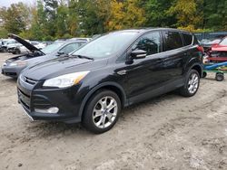 Ford Escape salvage cars for sale: 2013 Ford Escape SEL