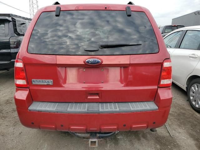 2011 Ford Escape XLT