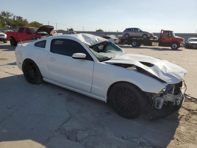 2013 Ford Mustang GT