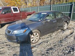 Honda Accord salvage cars for sale: 2008 Honda Accord EXL