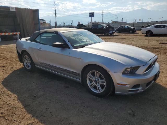 2013 Ford Mustang