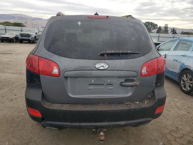 2009 Hyundai Santa FE SE