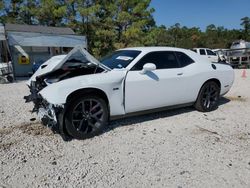 Dodge Challenger salvage cars for sale: 2023 Dodge Challenger R/T