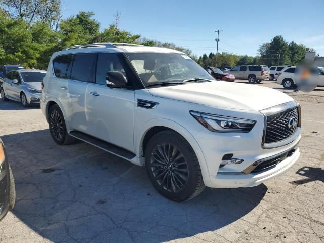 2024 Infiniti QX80 Sensory