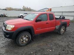 Salvage cars for sale from Copart Albany, NY: 2008 Toyota Tacoma Access Cab