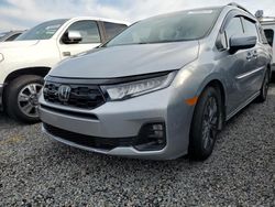 2025 Honda Odyssey Touring for sale in Riverview, FL