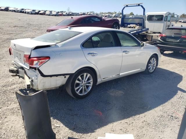 2010 Lexus ES 350