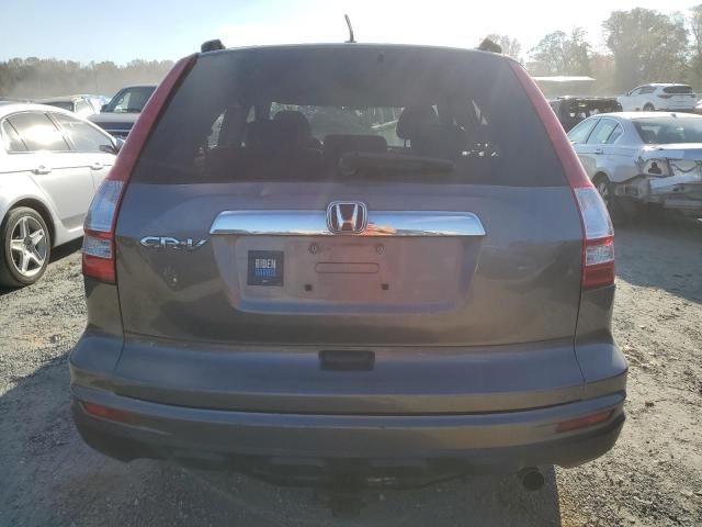 2010 Honda CR-V EXL