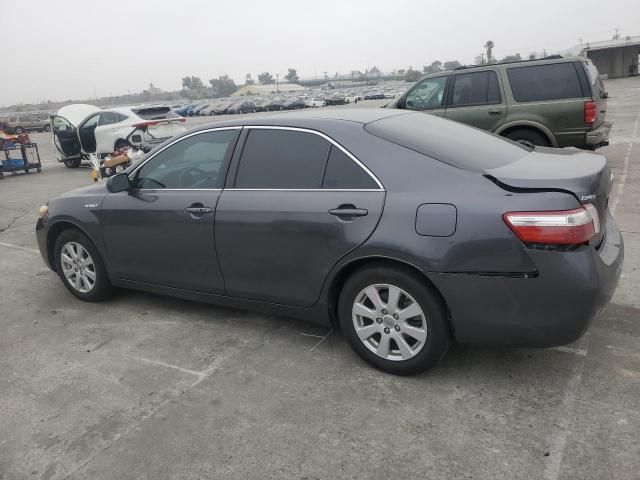 2009 Toyota Camry Hybrid