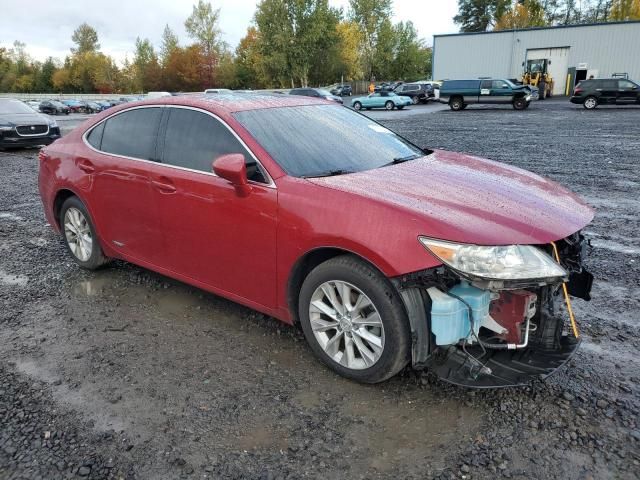 2013 Lexus ES 300H