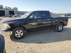 Dodge ram 1500 Vehiculos salvage en venta: 2011 Dodge RAM 1500