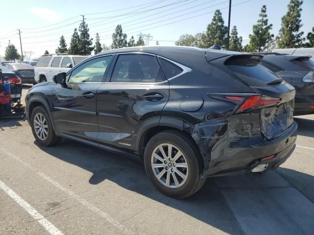 2019 Lexus NX 300H