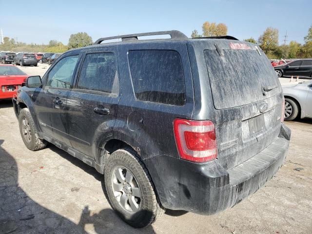 2008 Ford Escape Limited