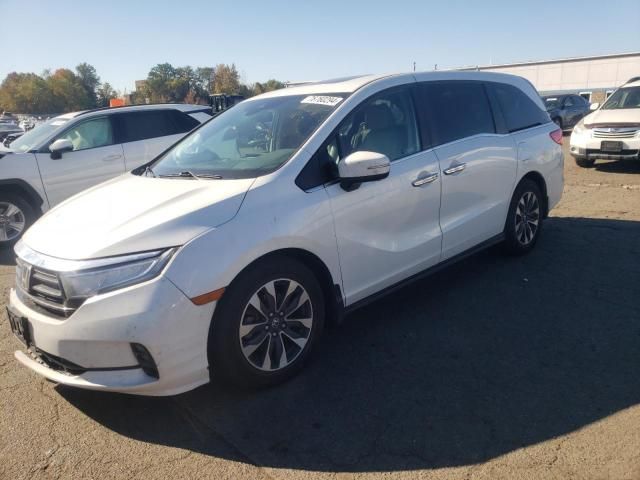 2022 Honda Odyssey EXL