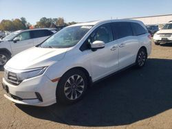 Honda Odyssey exl salvage cars for sale: 2022 Honda Odyssey EXL