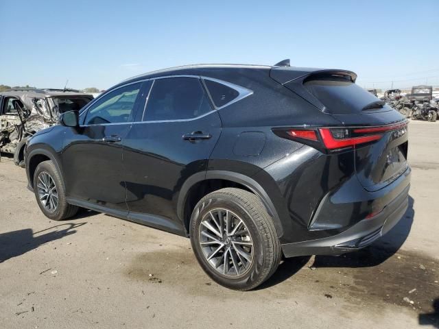 2022 Lexus NX 350H