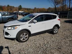 Ford Escape salvage cars for sale: 2013 Ford Escape SE