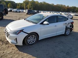 Hyundai Elantra salvage cars for sale: 2019 Hyundai Elantra SE