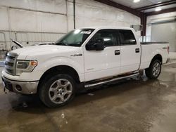 Ford salvage cars for sale: 2014 Ford F150 Supercrew