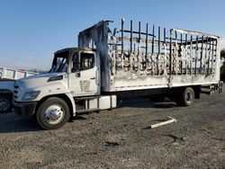 Hino 258/268 salvage cars for sale: 2019 Hino 258 268