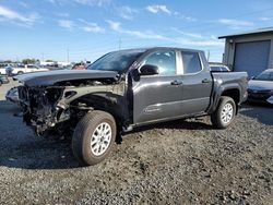 Toyota Tacoma salvage cars for sale: 2024 Toyota Tacoma Double Cab