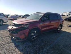 KIA Sorento salvage cars for sale: 2023 KIA Sorento S