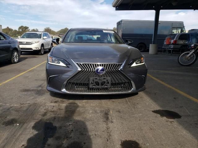 2019 Lexus ES 300H