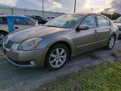 Nissan Maxima salvage cars for sale: 2004 Nissan Maxima SE