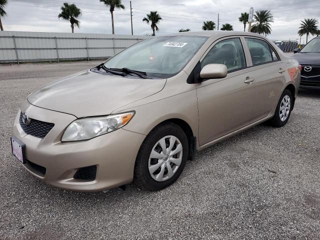 2009 Toyota Corolla Base