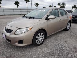 Toyota Corolla salvage cars for sale: 2009 Toyota Corolla Base