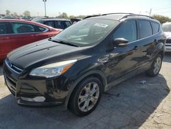 Ford Escape sel Vehiculos salvage en venta: 2013 Ford Escape SEL