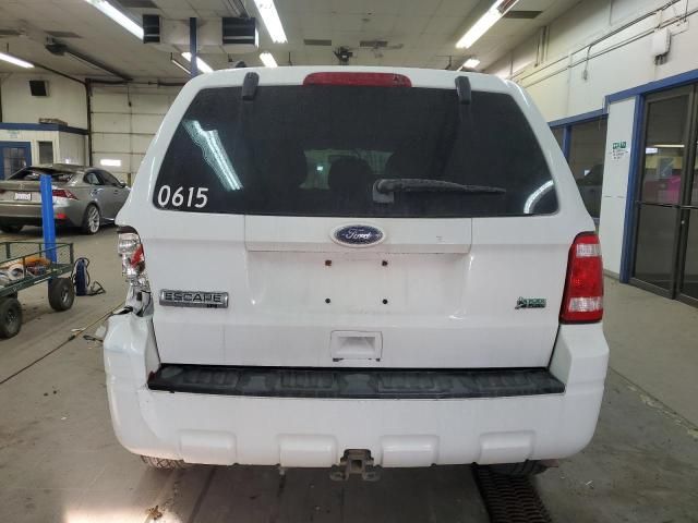 2010 Ford Escape XLT