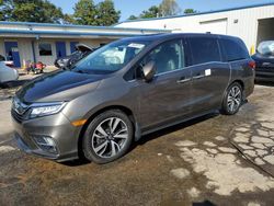 Honda Odyssey salvage cars for sale: 2019 Honda Odyssey Elite