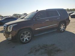 Cadillac Escalade salvage cars for sale: 2017 Cadillac Escalade Luxury