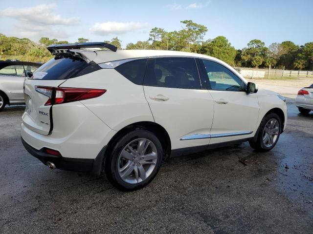 2019 Acura RDX Advance